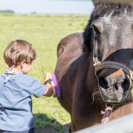 Friesenhof Janssen - Urlaub Auf Dem Bauernhof Leilighet Neuharlingersiel Eksteriør bilde