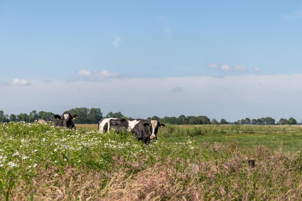Friesenhof Janssen - Urlaub Auf Dem Bauernhof Leilighet Neuharlingersiel Eksteriør bilde