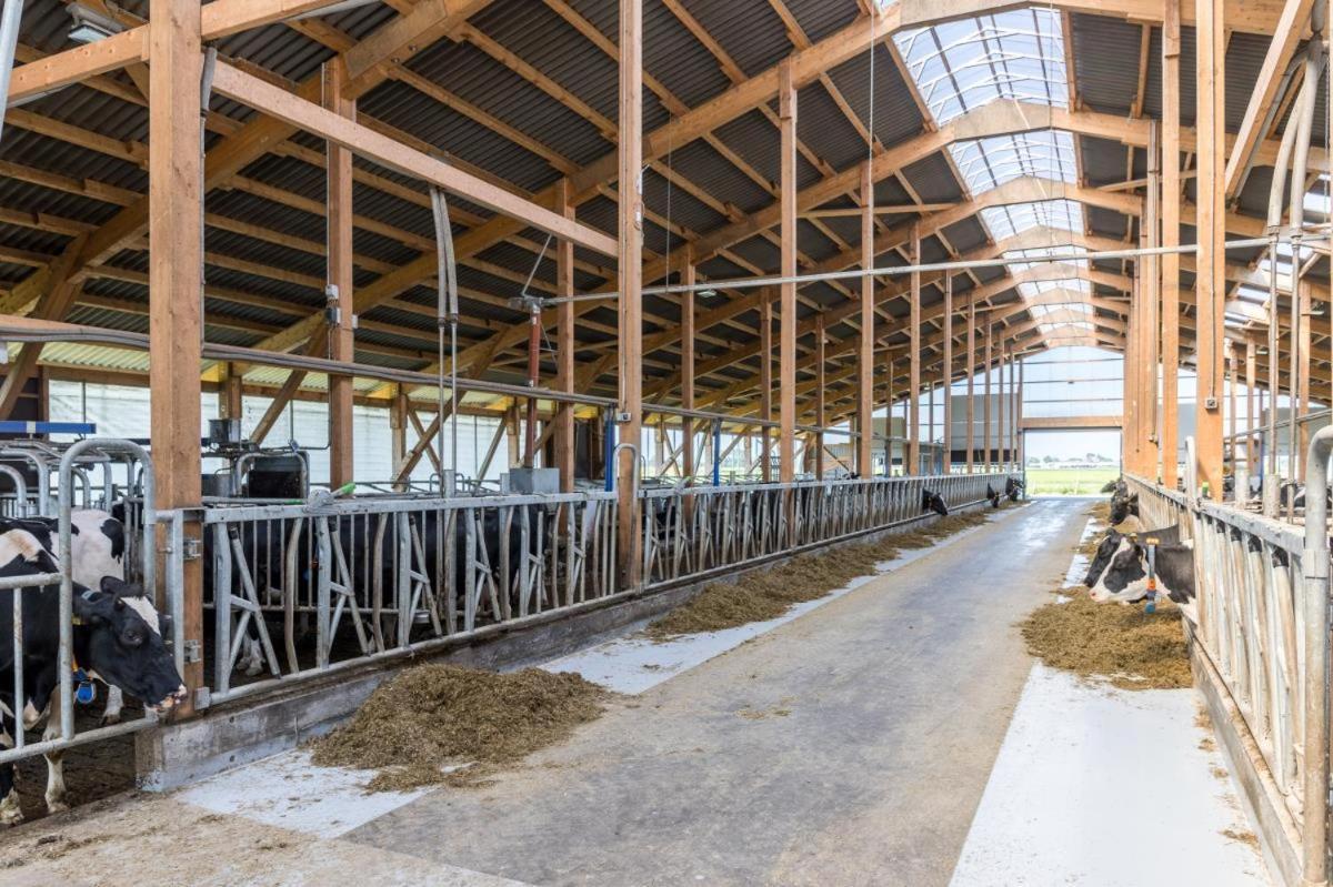 Friesenhof Janssen - Urlaub Auf Dem Bauernhof Leilighet Neuharlingersiel Eksteriør bilde