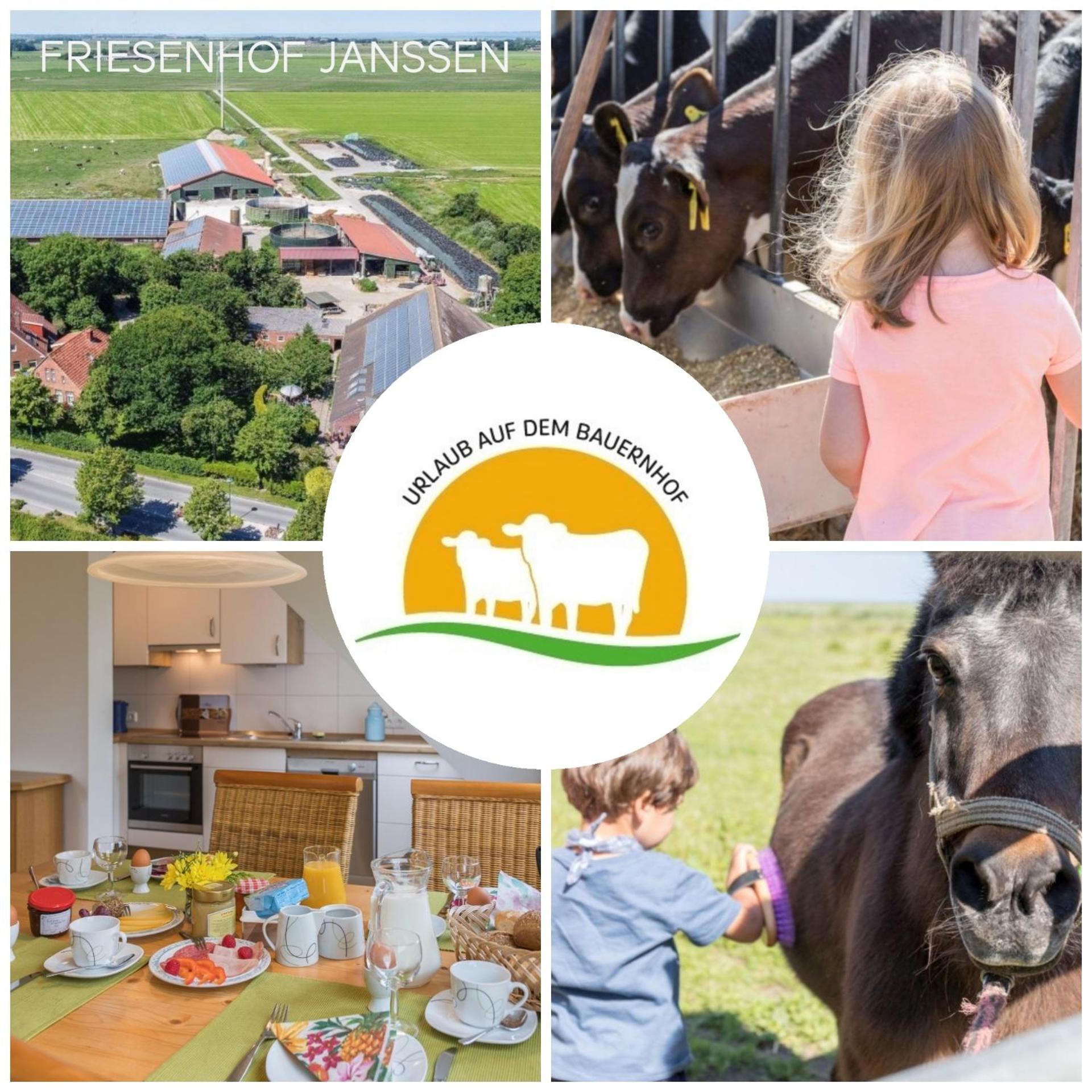 Friesenhof Janssen - Urlaub Auf Dem Bauernhof Leilighet Neuharlingersiel Eksteriør bilde